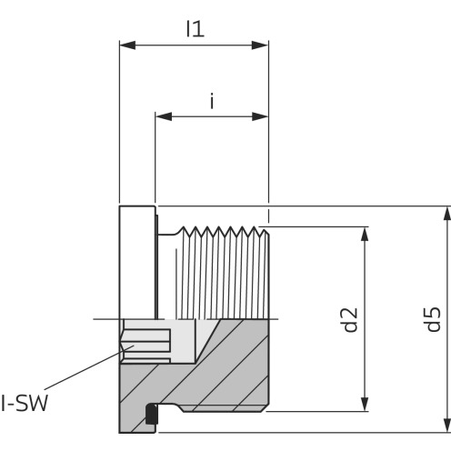 Verschluss-Schraube VSTI-M-ED, Form N, VOSS